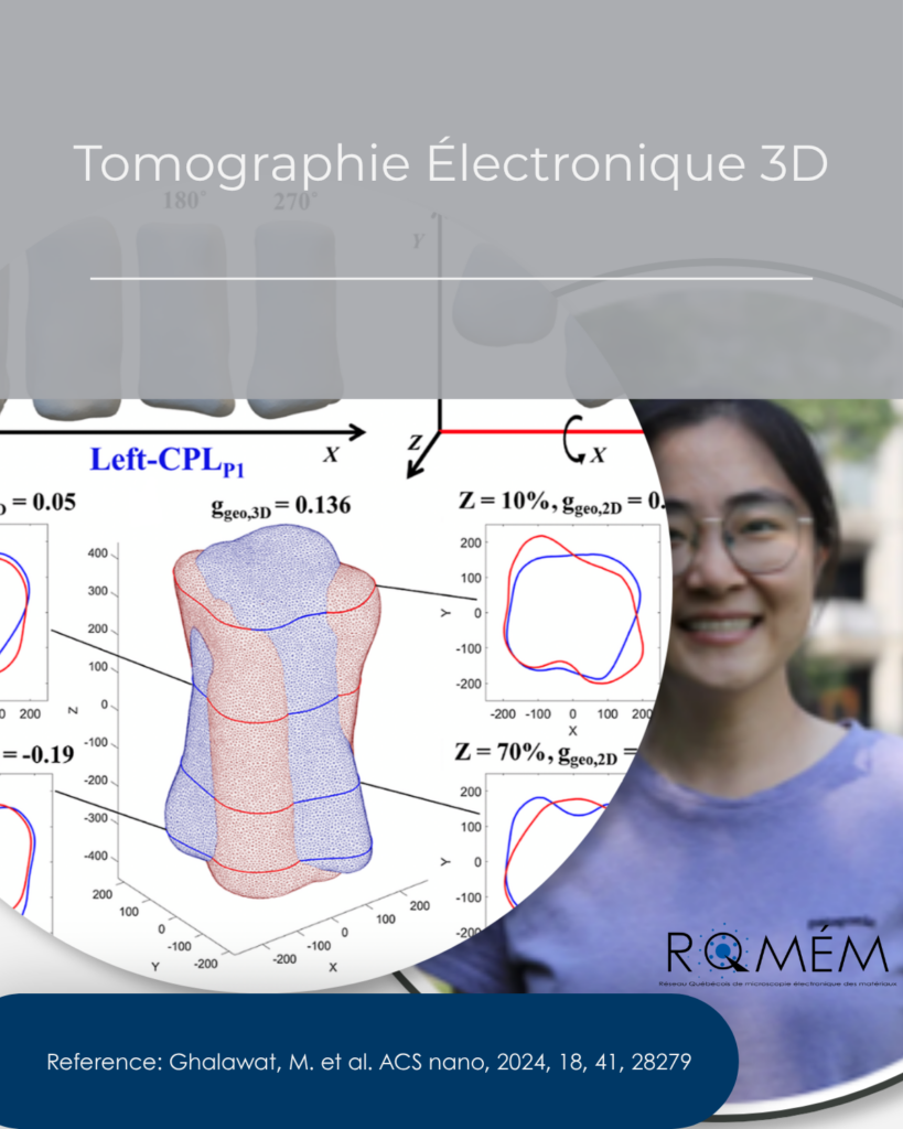 tomographie électronique 3d (1)
