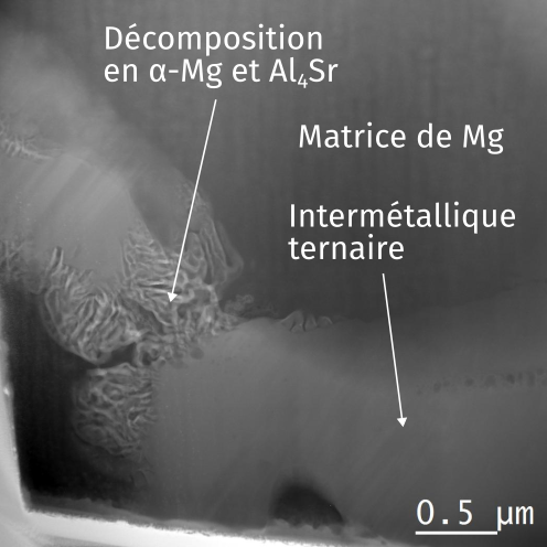 Décomposion en alpha-Mg et Al4Sr, Matrice de Mg, Intermétalique ternaire, 0.5 microns
