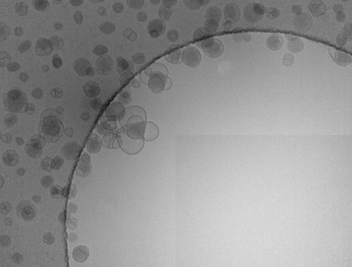 cryo-em nanoparticules lipidiques